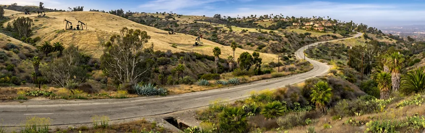 Exploring the Beauty Beyond: Road Trips from Inglewood, CA